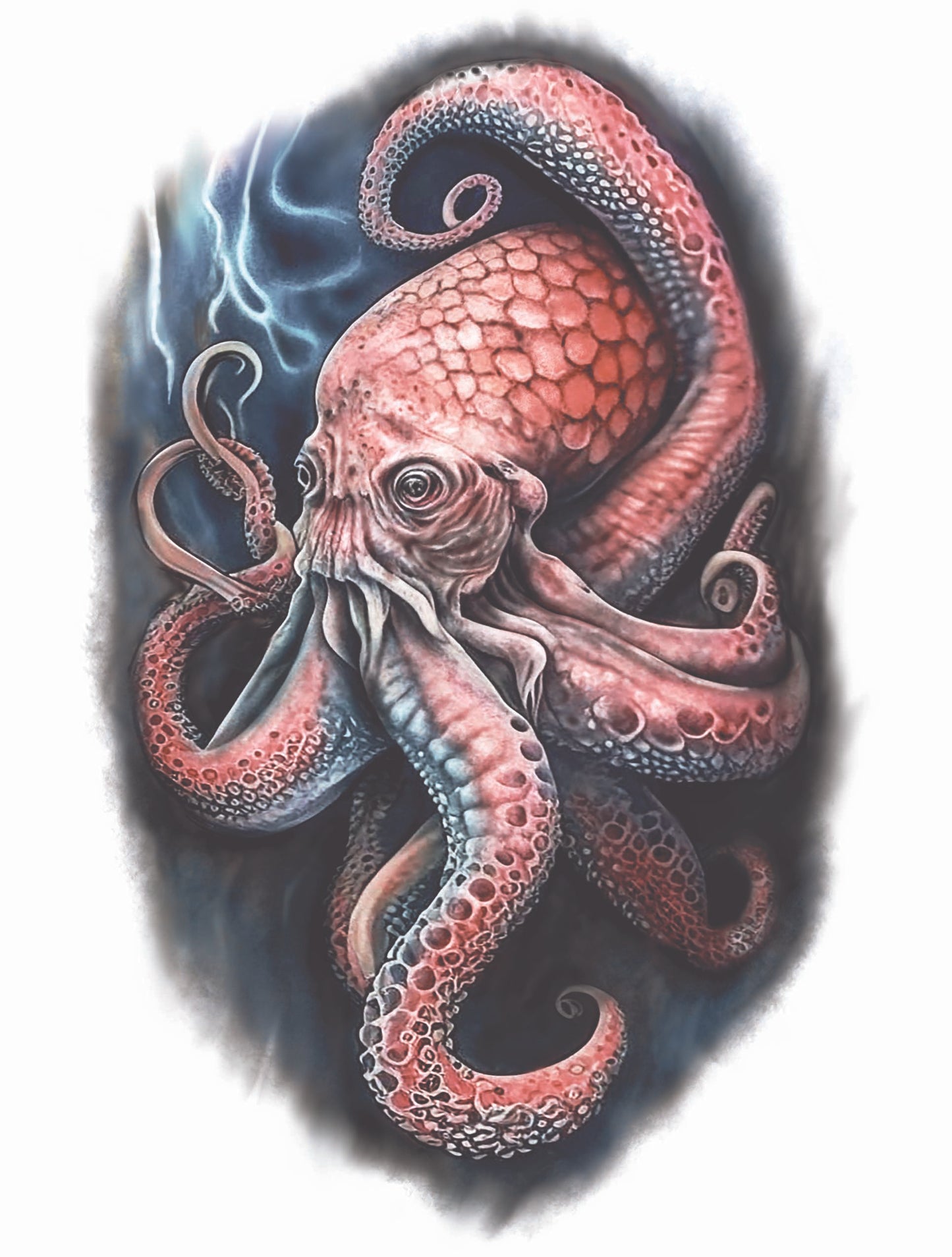 Octopus 2