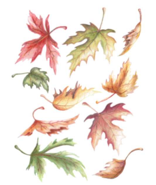 Fallen Leaves Filler